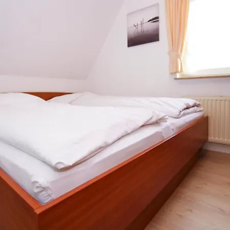 - Dns10100c-cyd Appartement